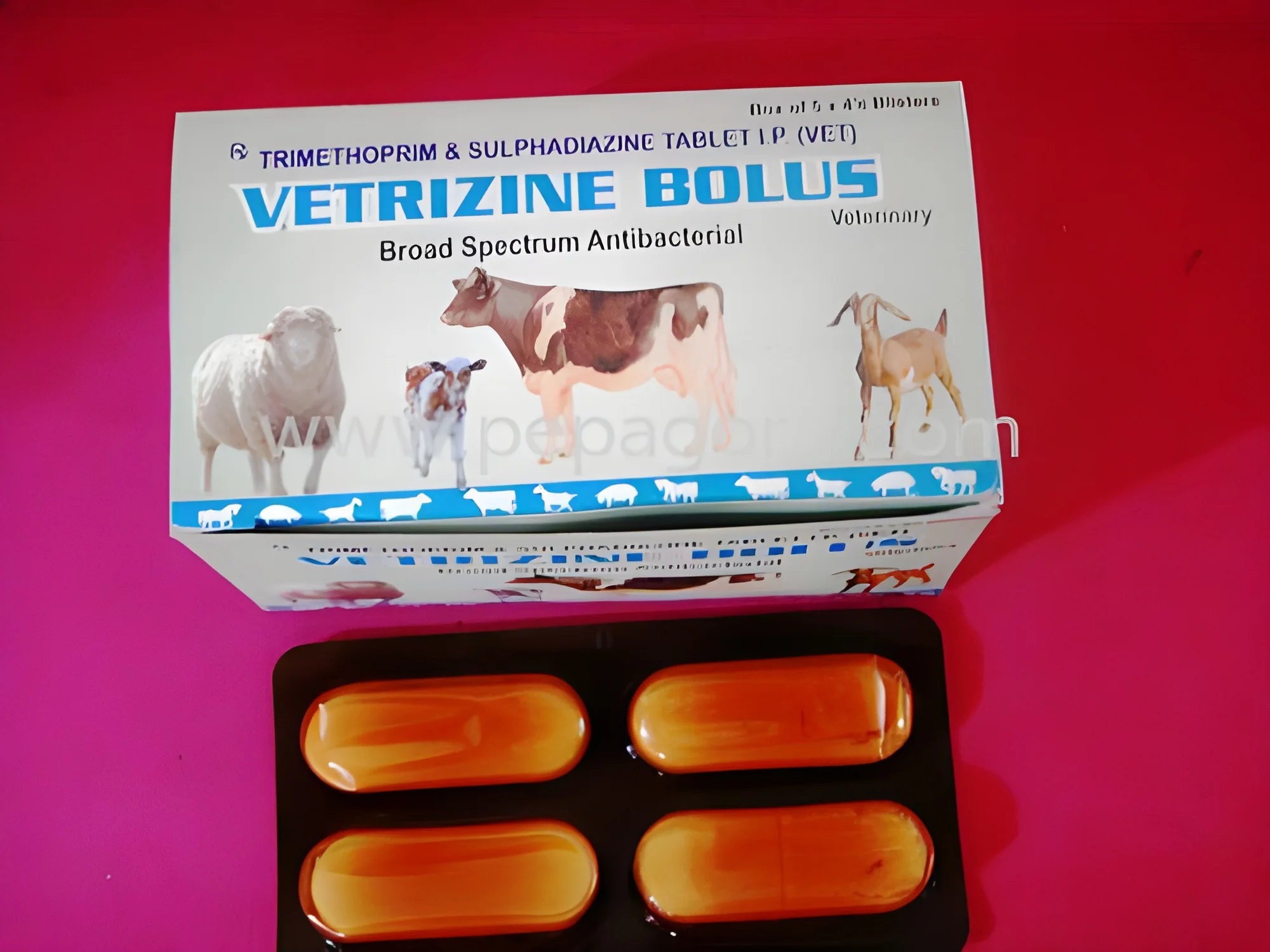 product-image-1
