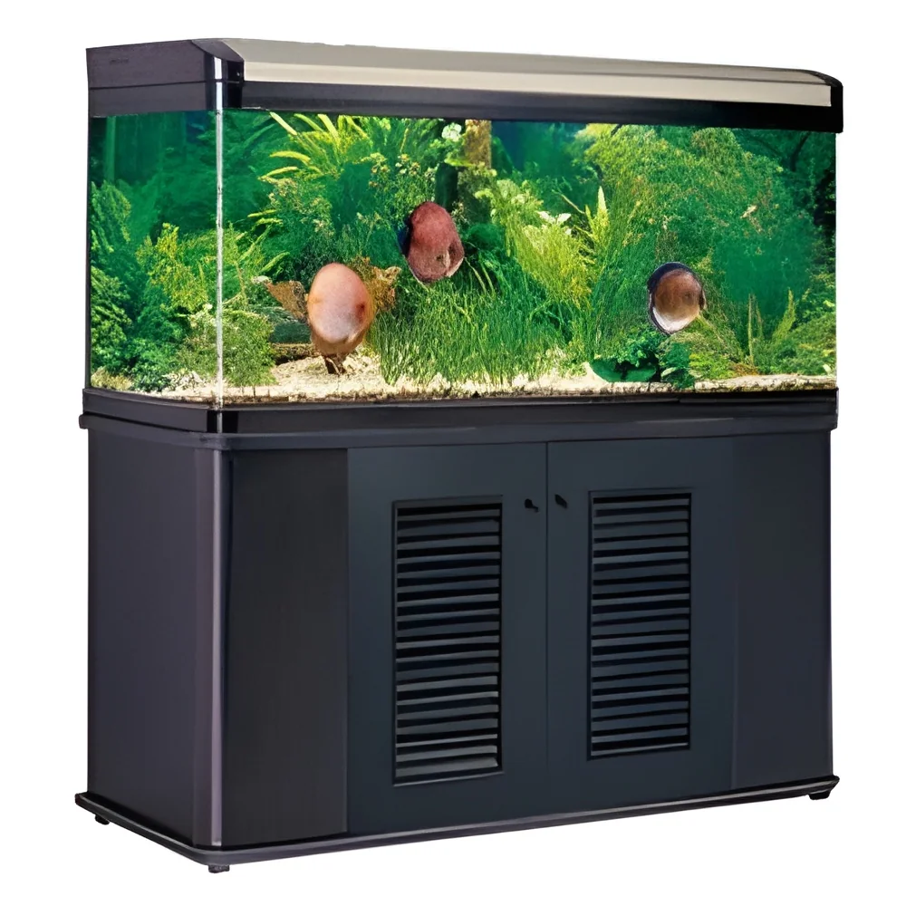 resizeImages/MjgwNA==/mediabank/images/products/aquarium-tanks-250x250.webp