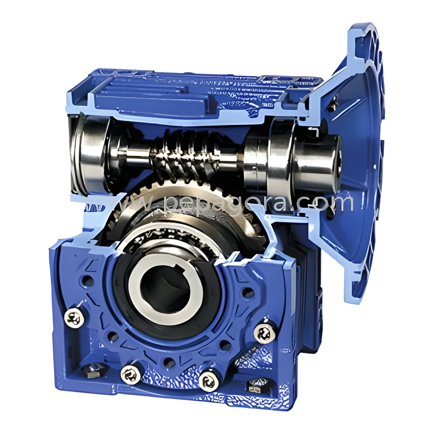 product-image-1