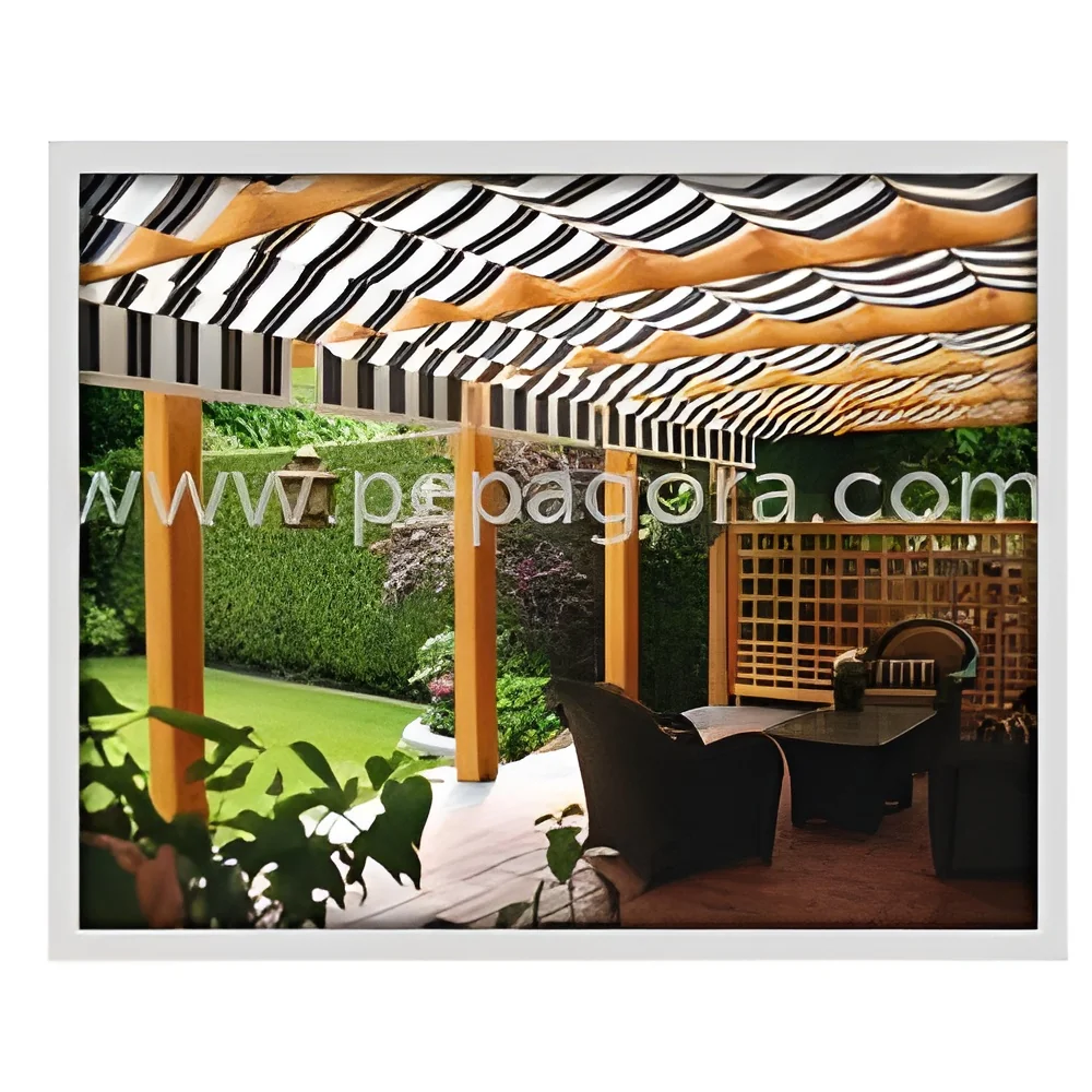 resizeImages/MjkwOQ==/mediabank/images/products/RetractableCanopy1622489751_2909.webp