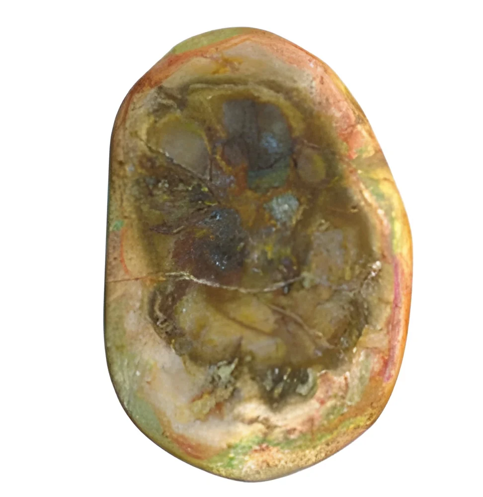 resizeImages/MzA4OQ==/mediabank/images/products/petrified-wood-250x250.webp