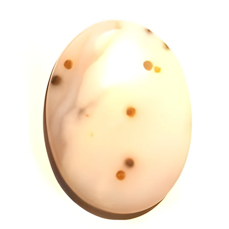 product-image-1