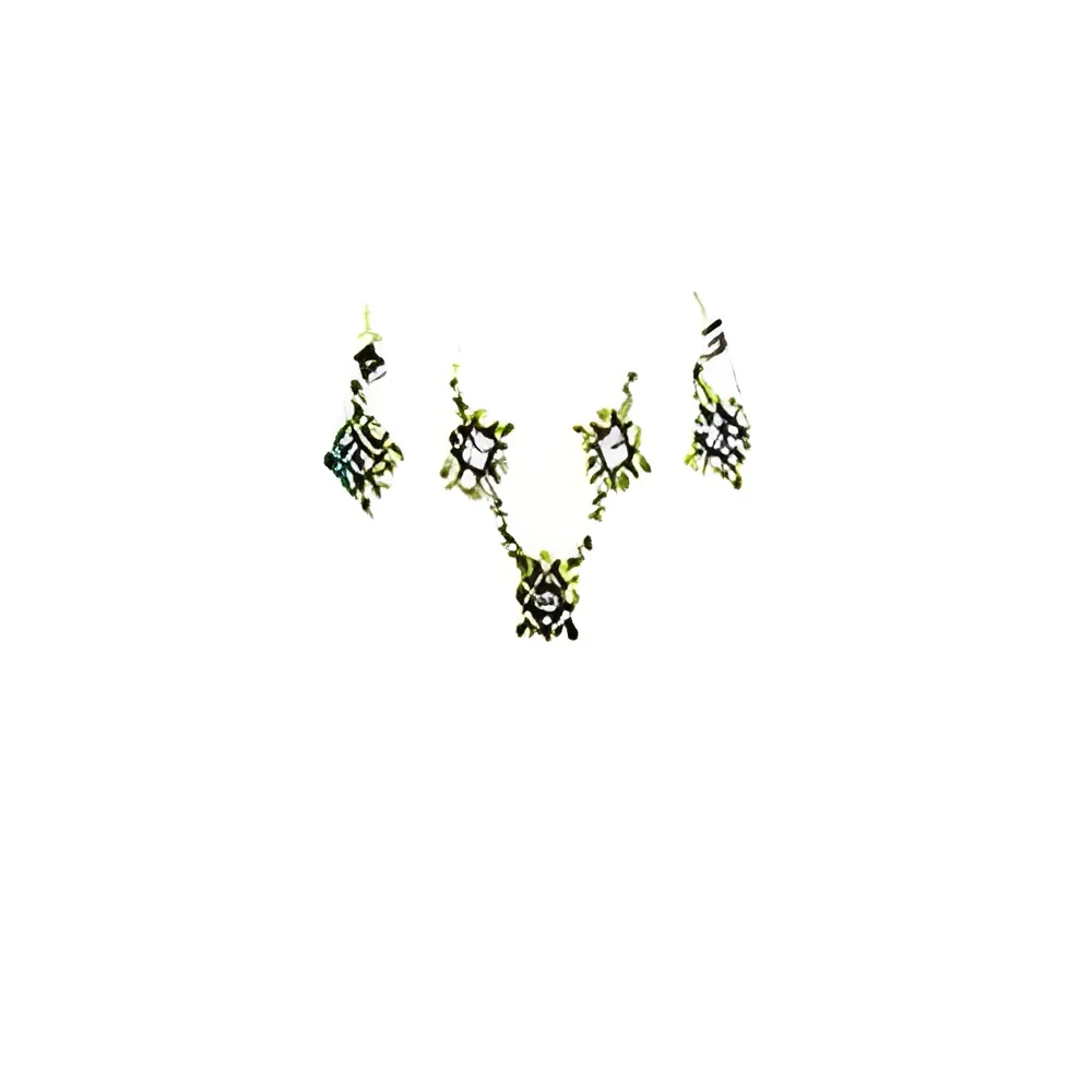 product-image-1