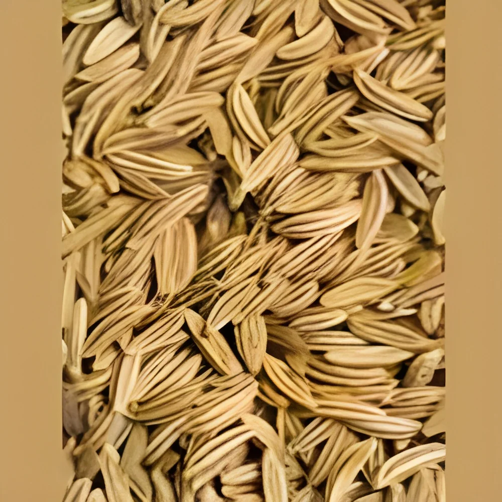 resizeImages/MzEwNw==/mediabank/images/products/biogeneagritech-small-250x250-250x250.webp