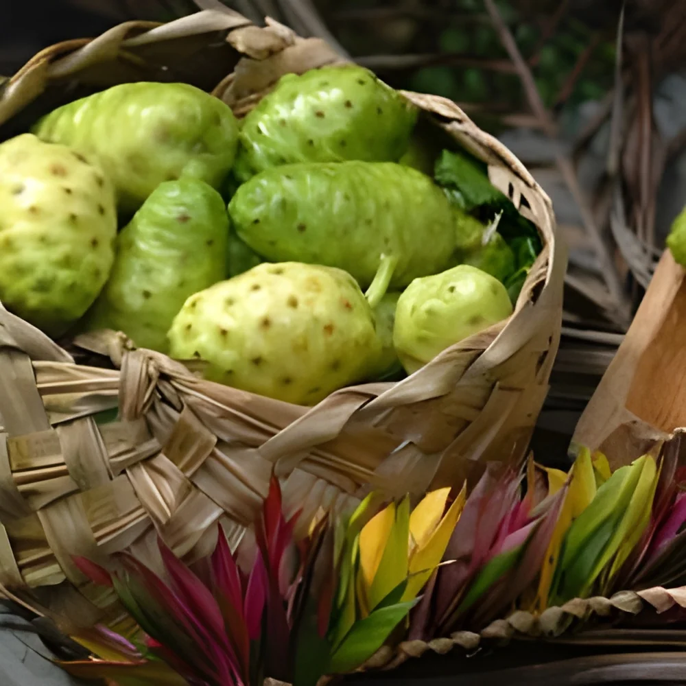 resizeImages/MzExNg==/mediabank/images/products/noni-250x250.webp