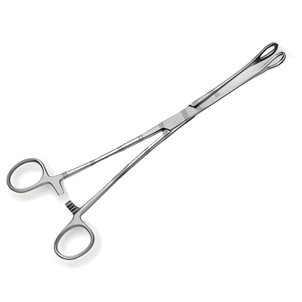 resizeImages/MzEyMg==/mediabank/images/products/sponge-holding-forcep-250x250.webp