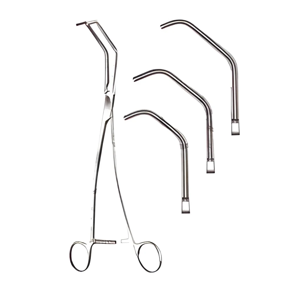 resizeImages/MzEyMg==/mediabank/images/products/surgical-forceps-250x250.webp