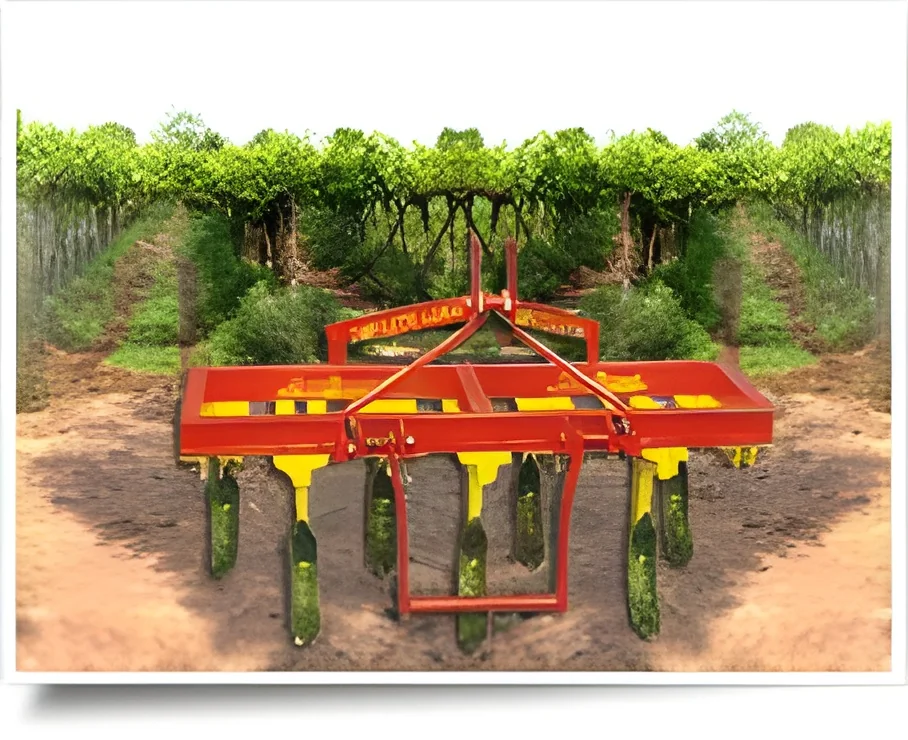 product-image-1