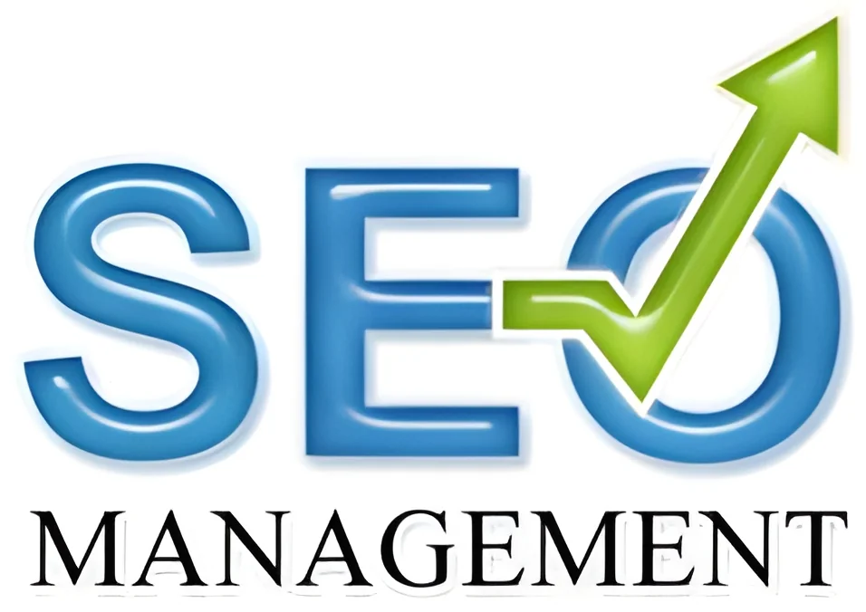 resizeImages/MzM4Mw==/mediabank/images/products/SearchEngineOptimization1794677547_3383.webp