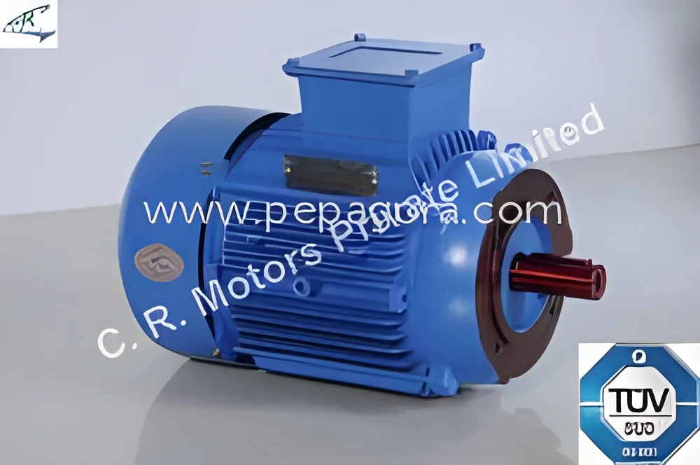 resizeImages/MzQwOQ==/mediabank/images/products/FaceMountMotor1250496736_3409.webp