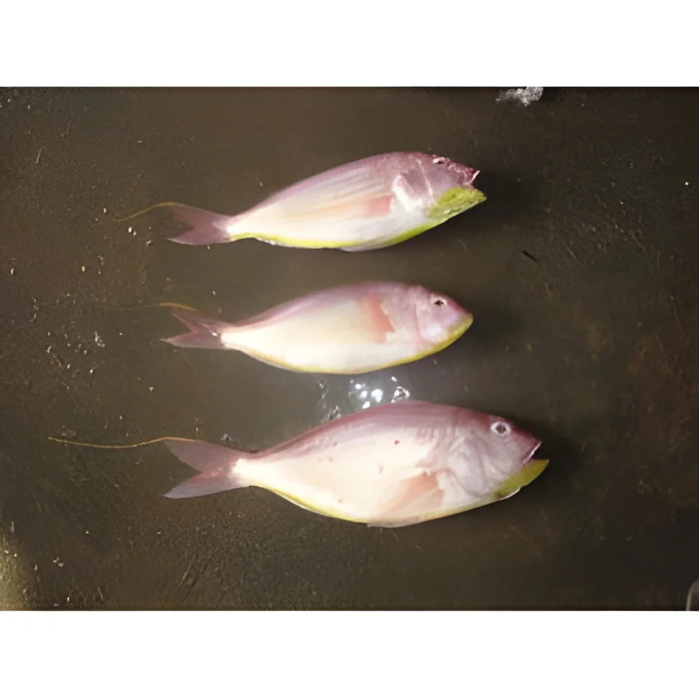 product-image-1