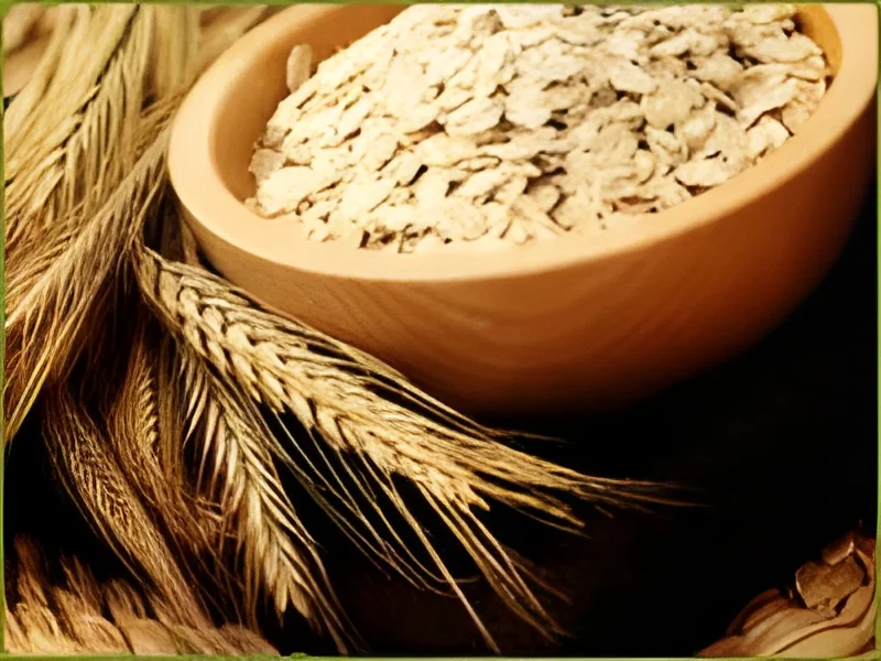 resizeImages/Mzc5OA==/mediabank/images/products/CerealPreparations769424847_3798.webp