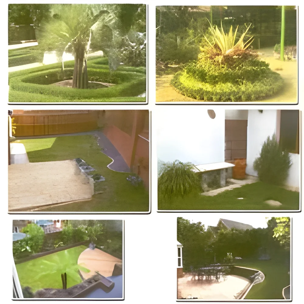 resizeImages/MzgwNQ==/mediabank/images/products/LandscapingWorkServices299175218_3805.webp