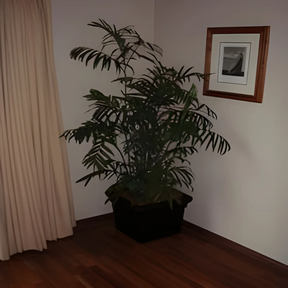 product-image-1