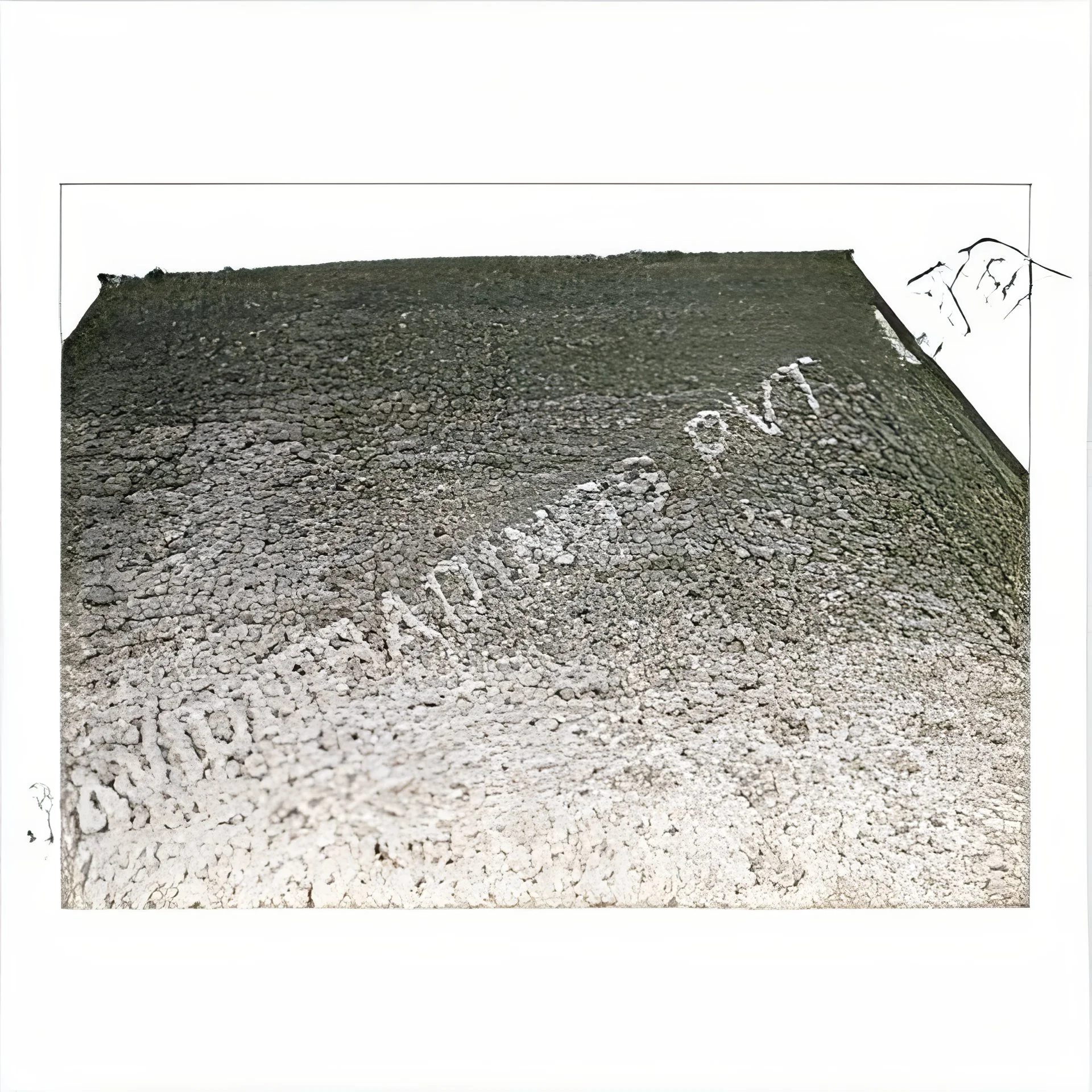 resizeImages/NDA3NA==/mediabank/images/products/Carpets1221417292_4074.webp