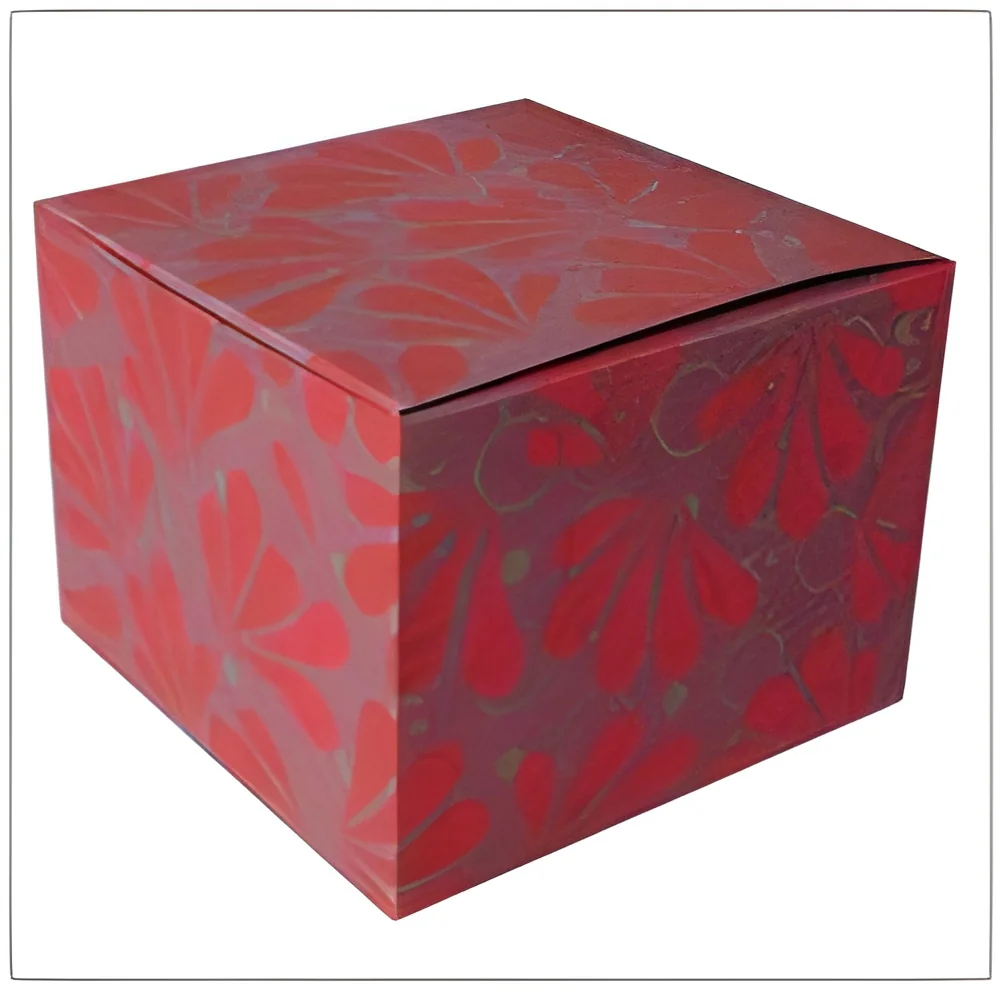 resizeImages/NDE1MQ==/mediabank/images/products/PrintedBoxes907974040_4151.webp