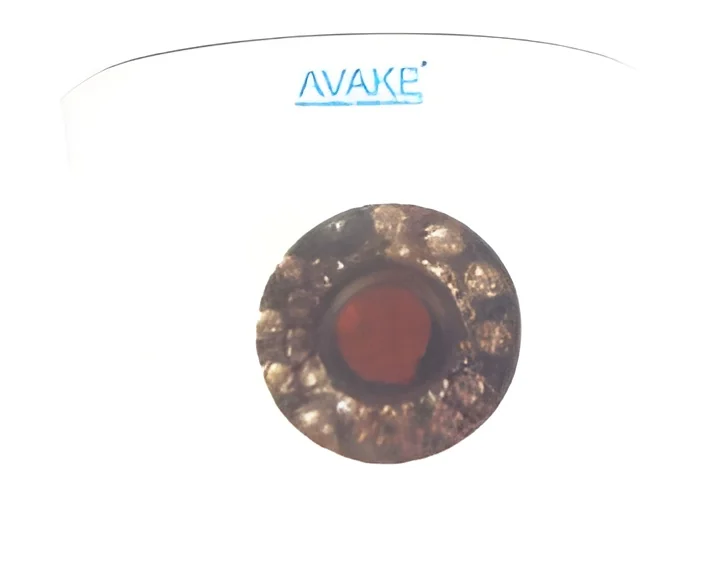product-image-1