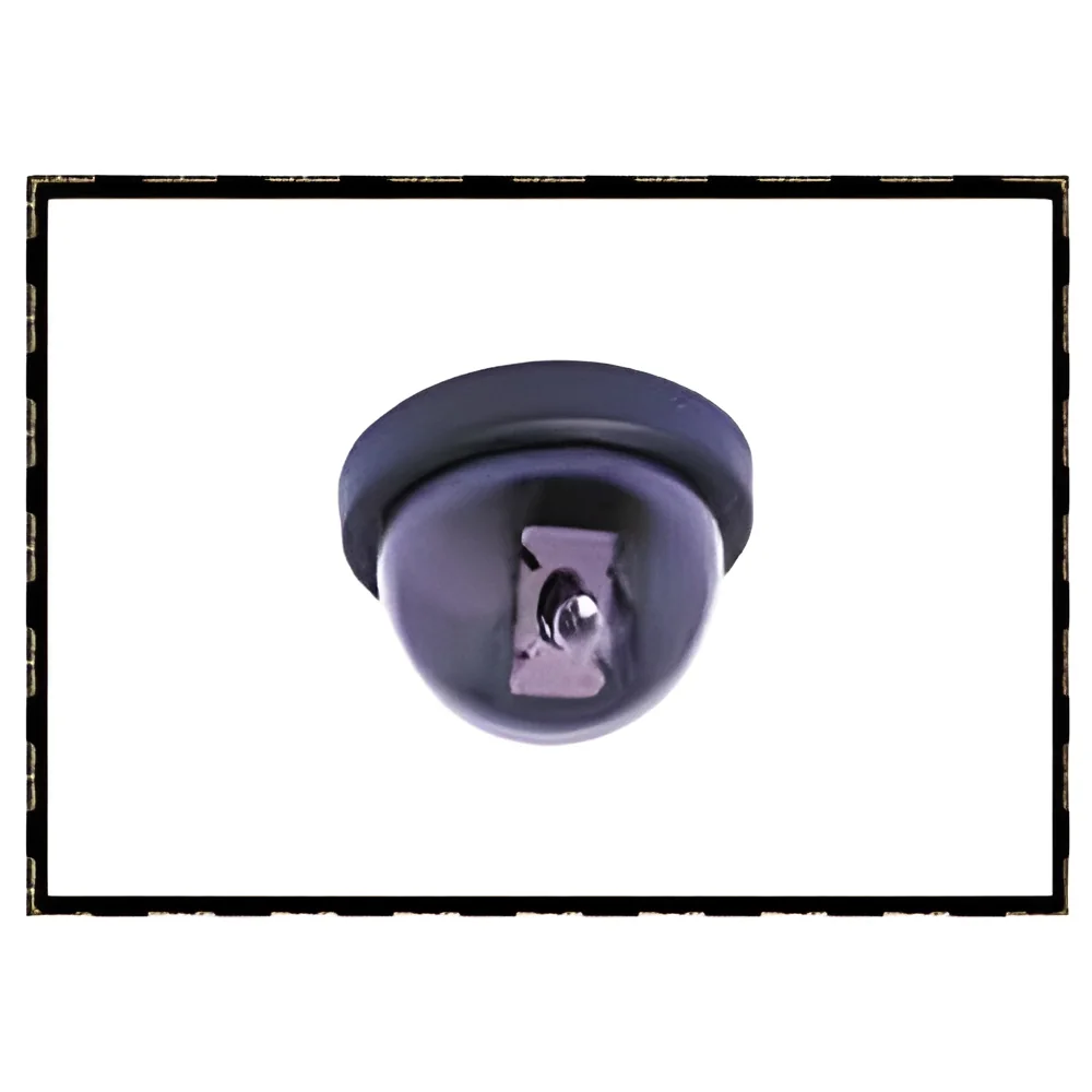 resizeImages/NDM4MA==/mediabank/images/products/dome-camera-250x250.webp