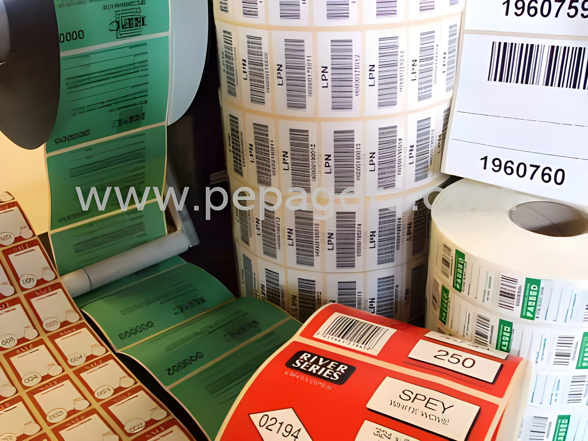 product-image-1