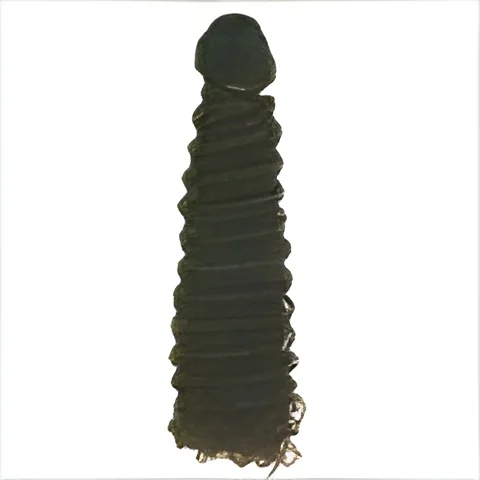 resizeImages/NDY2Mw==/mediabank/images/products/CurlyHumanHairWeft1892619051_4663.webp