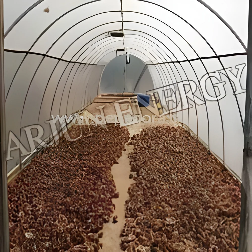 resizeImages/NDkwNQ==/mediabank/images/products/SolarDryingSystems1597206197_4905.webp