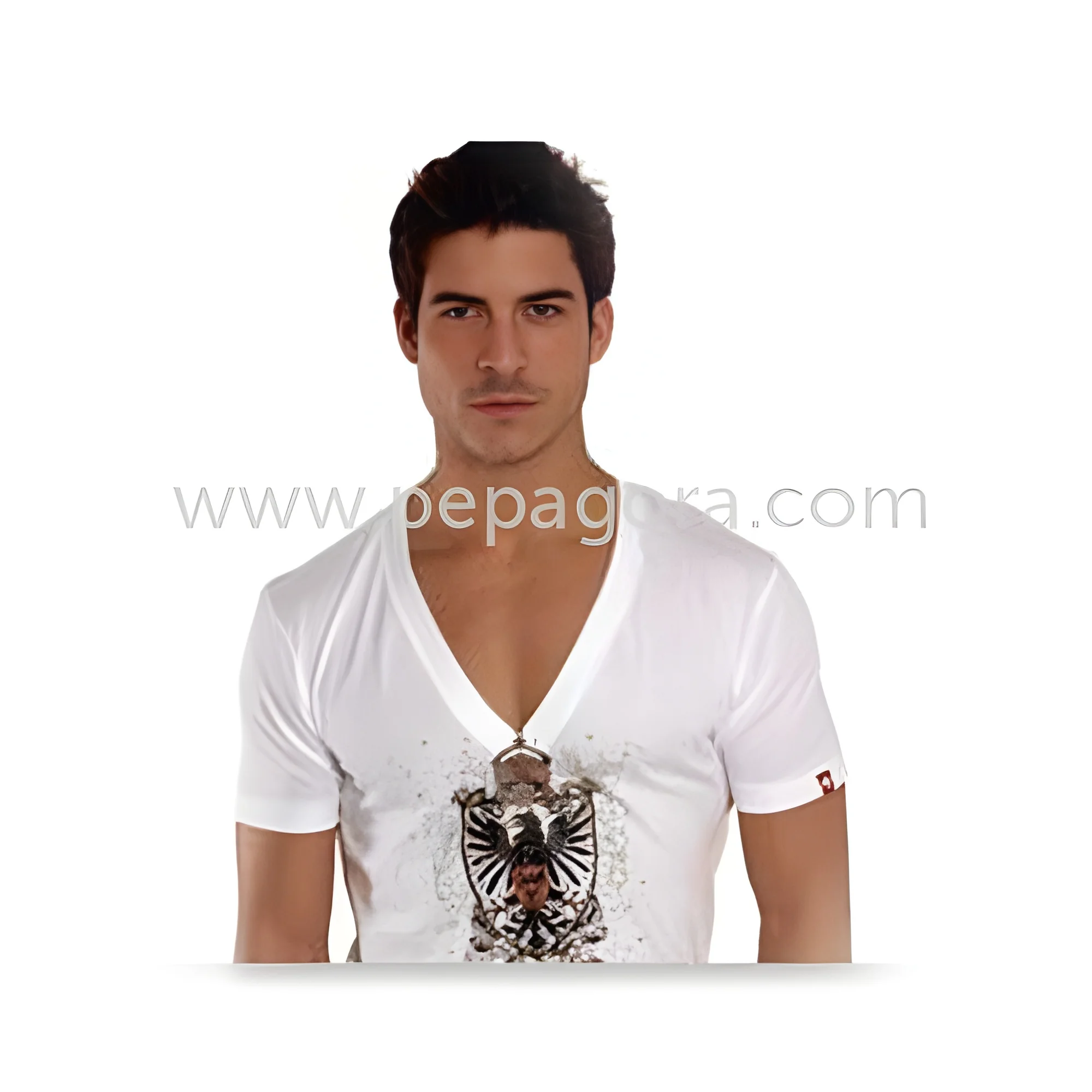 resizeImages/NTMw/mediabank/images/products/MensVNeckT-Shirts409855213_530.webp