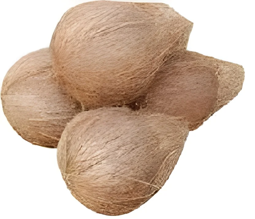 resizeImages/NTU1Ng==/mediabank/images/products/FreshHuskedCoconut1248321108_5556.webp