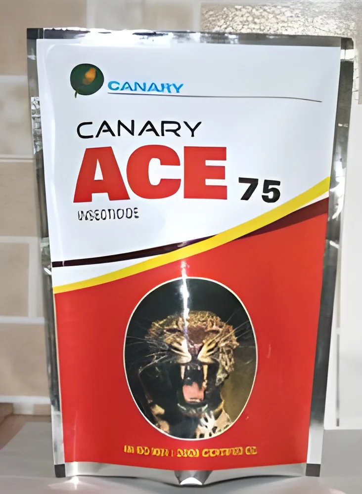 product-image-1