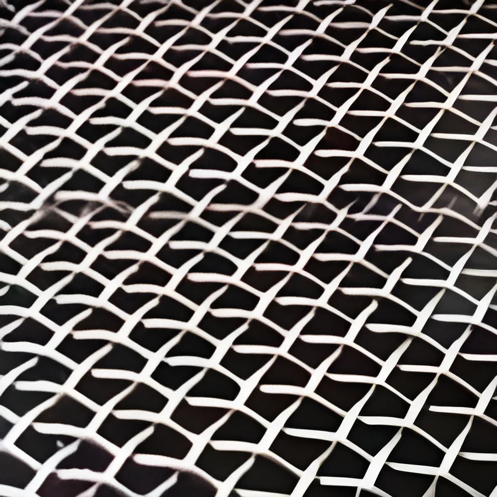 resizeImages/NTY1MQ==/mediabank/images/products/WireMesh153143085_5651.webp