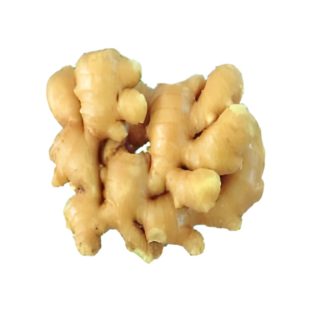 resizeImages/NTc0OQ==/mediabank/images/products/FreshGinger1465751355_5749.webp
