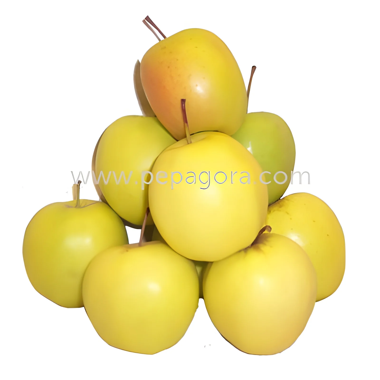 product-image-1