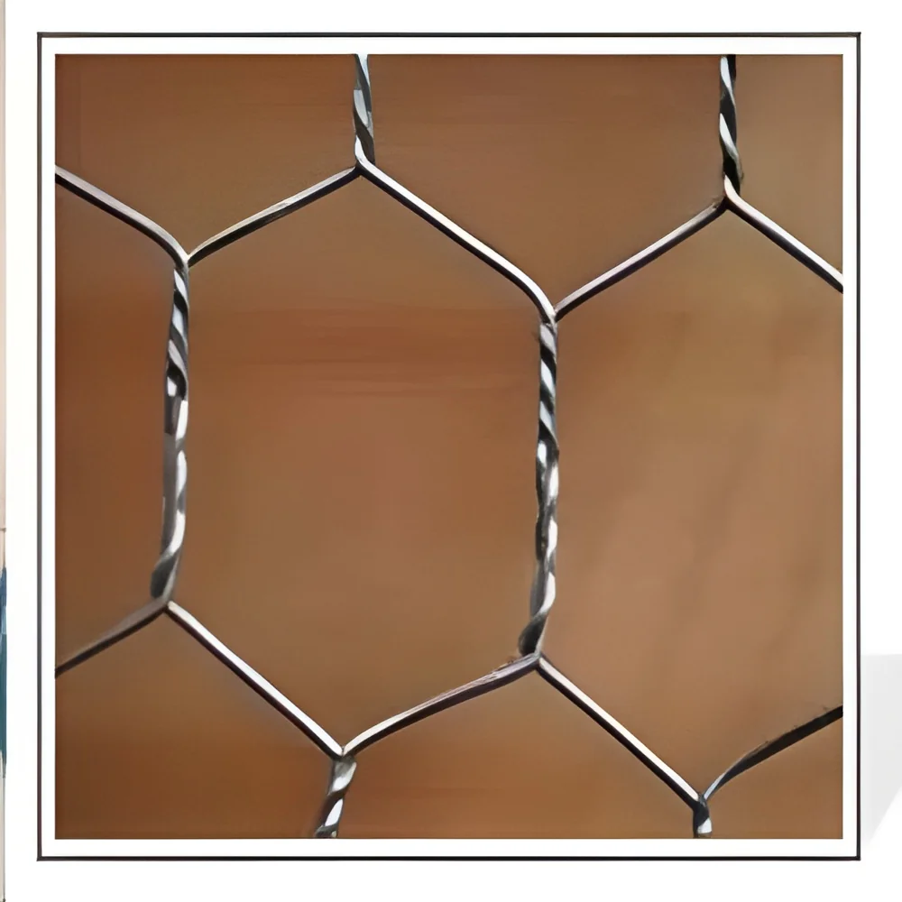 resizeImages/NTcxNQ==/mediabank/images/products/HexagonalWiremeshChickenMeshGI329233789_5715.webp