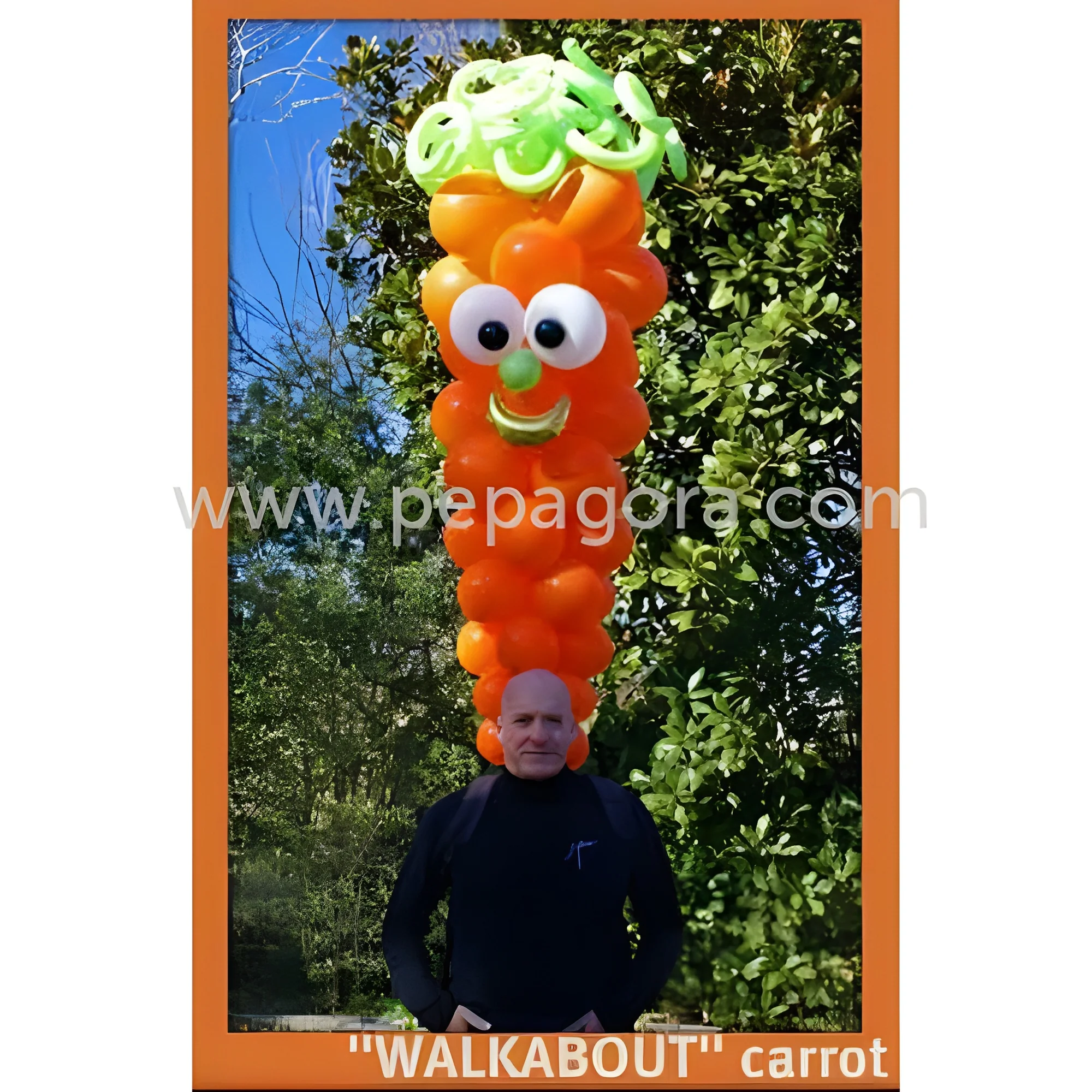 resizeImages/NTgwNA==/mediabank/images/products/WalkAboutsBalloon89626814_5804.webp