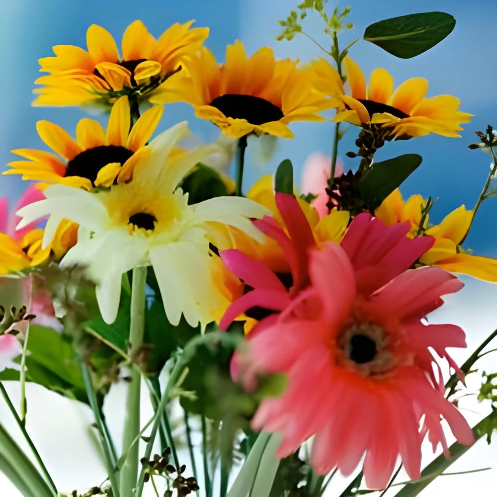 product-image-1