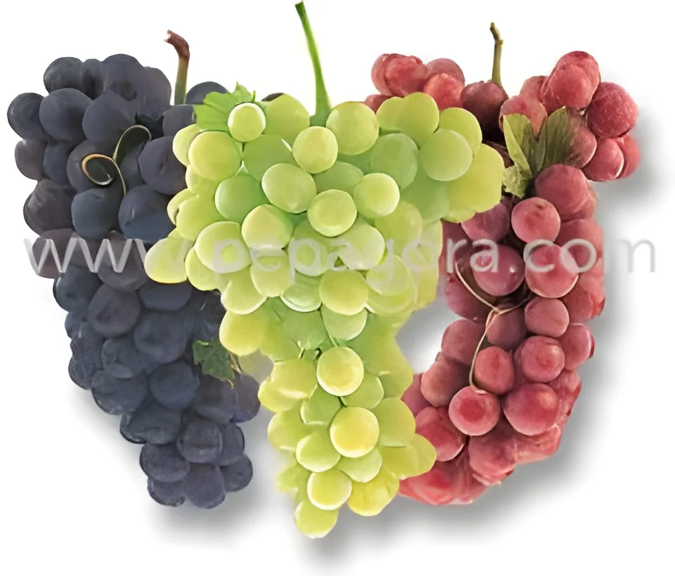 product-image-1