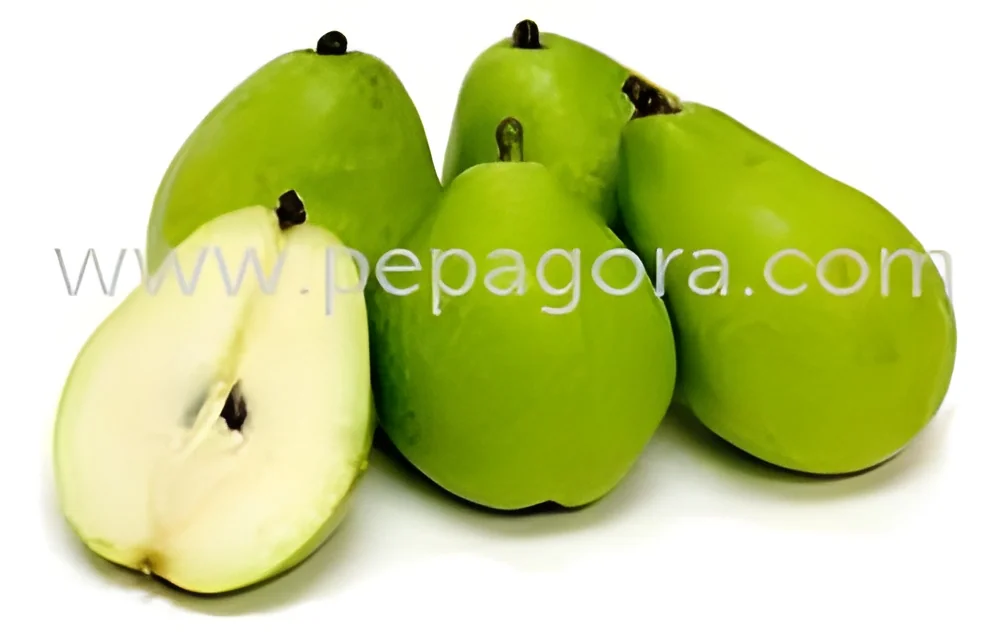 product-image-1