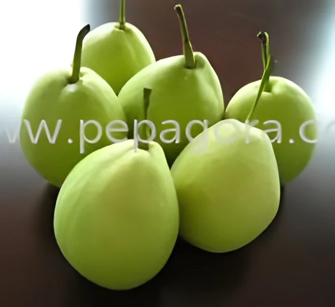 resizeImages/NjI4OQ==/mediabank/images/products/ShandongPears313392526_6289.webp