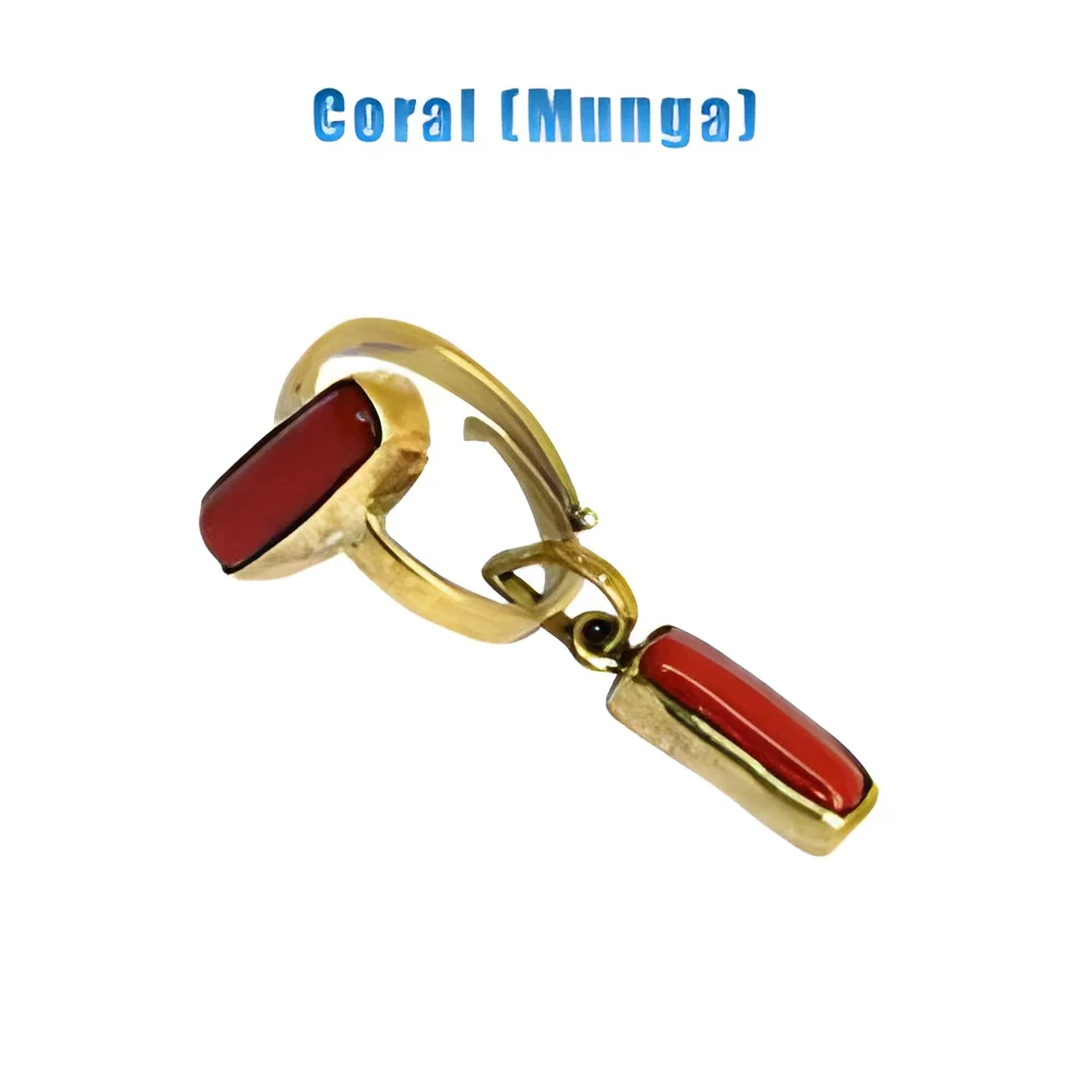 resizeImages/NjMxMw==/mediabank/images/products/coral-munga-250x250.webp