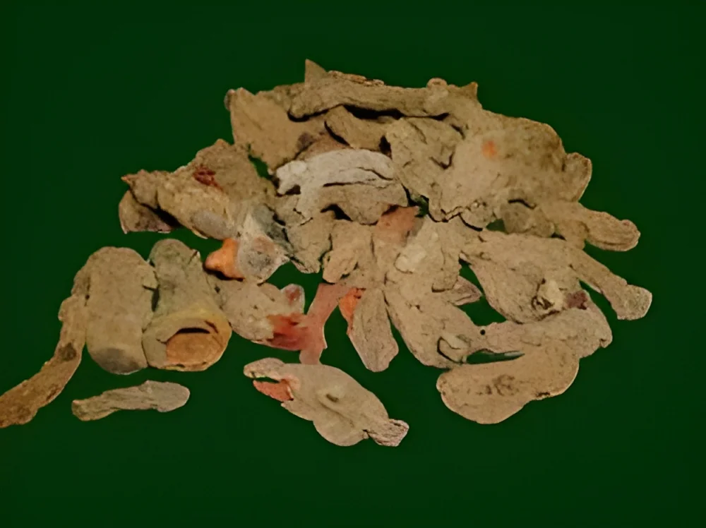 resizeImages/Njk3Mg==/mediabank/images/products/PanangaliTurmeric1435296773_6972.webp