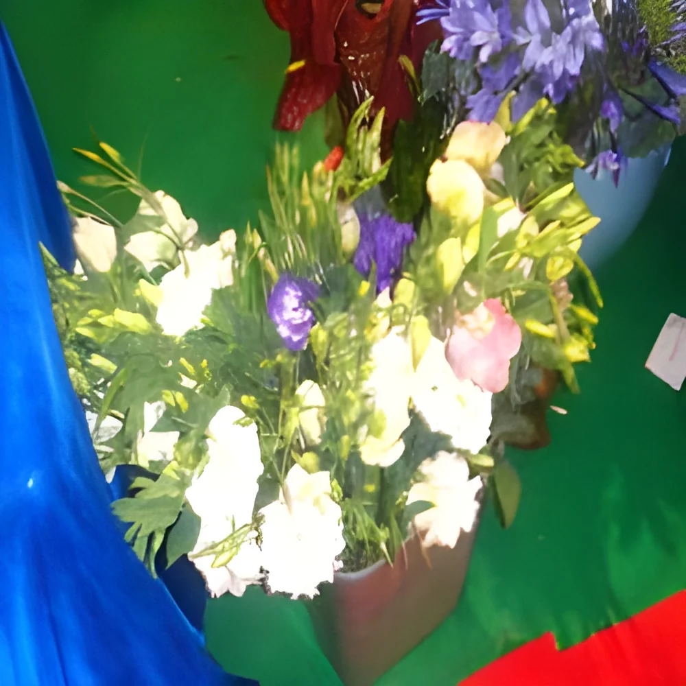 product-image-1