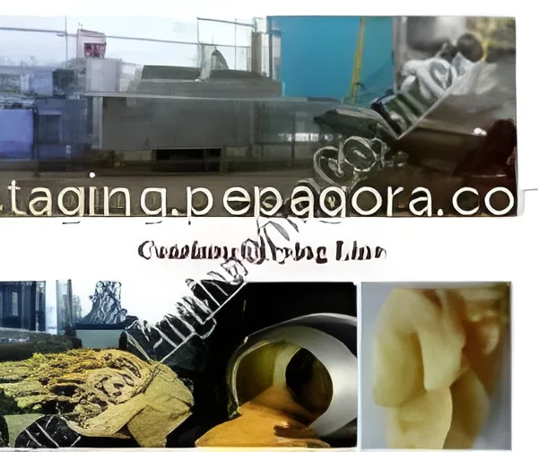 resizeImages/NzE0MA==/mediabank/images/products/ContinuousFryingLine471701377_7140.webp