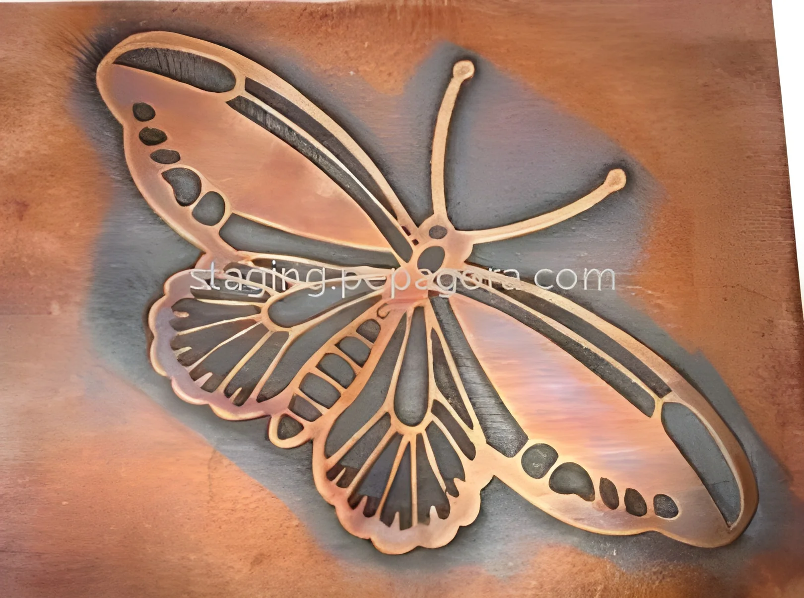 product-image-1