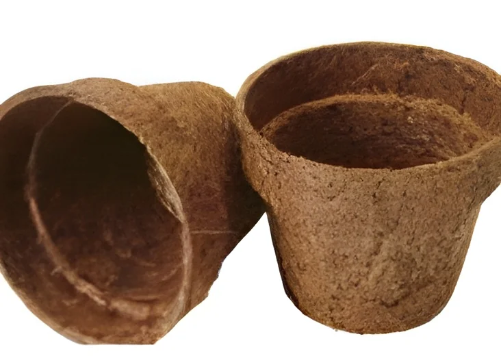 resizeImages/NzEyMQ==/mediabank/images/products/BiodegradableFlowerPots1025593393_7121.webp