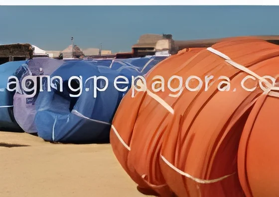 resizeImages/NzI0NA==/mediabank/images/products/HDPECoilPipe1839343066_7244.webp