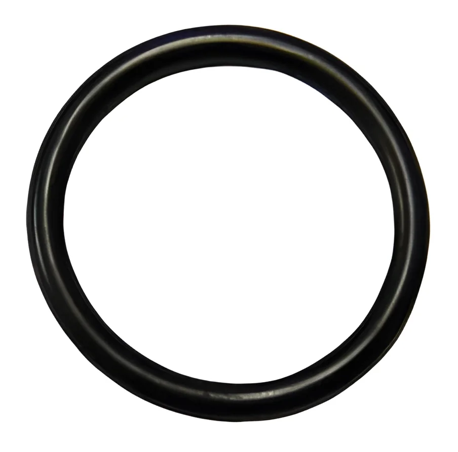 resizeImages/NzYz/mediabank/images/products/o-ring-250x250.webp