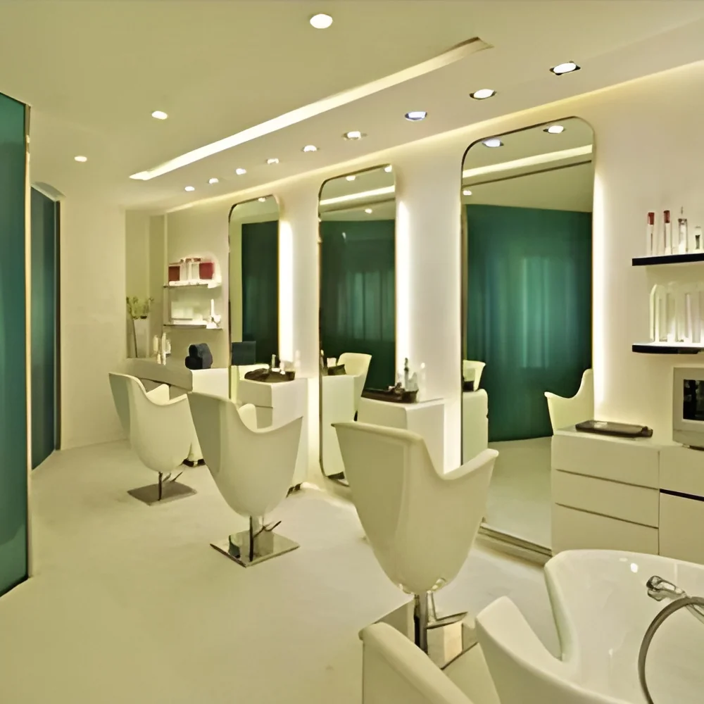 resizeImages/Nzc4/mediabank/images/products/saloon-interior-250x250.webp