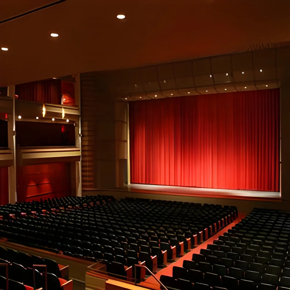resizeImages/Nzc4/mediabank/images/products/theater-250x250.webp
