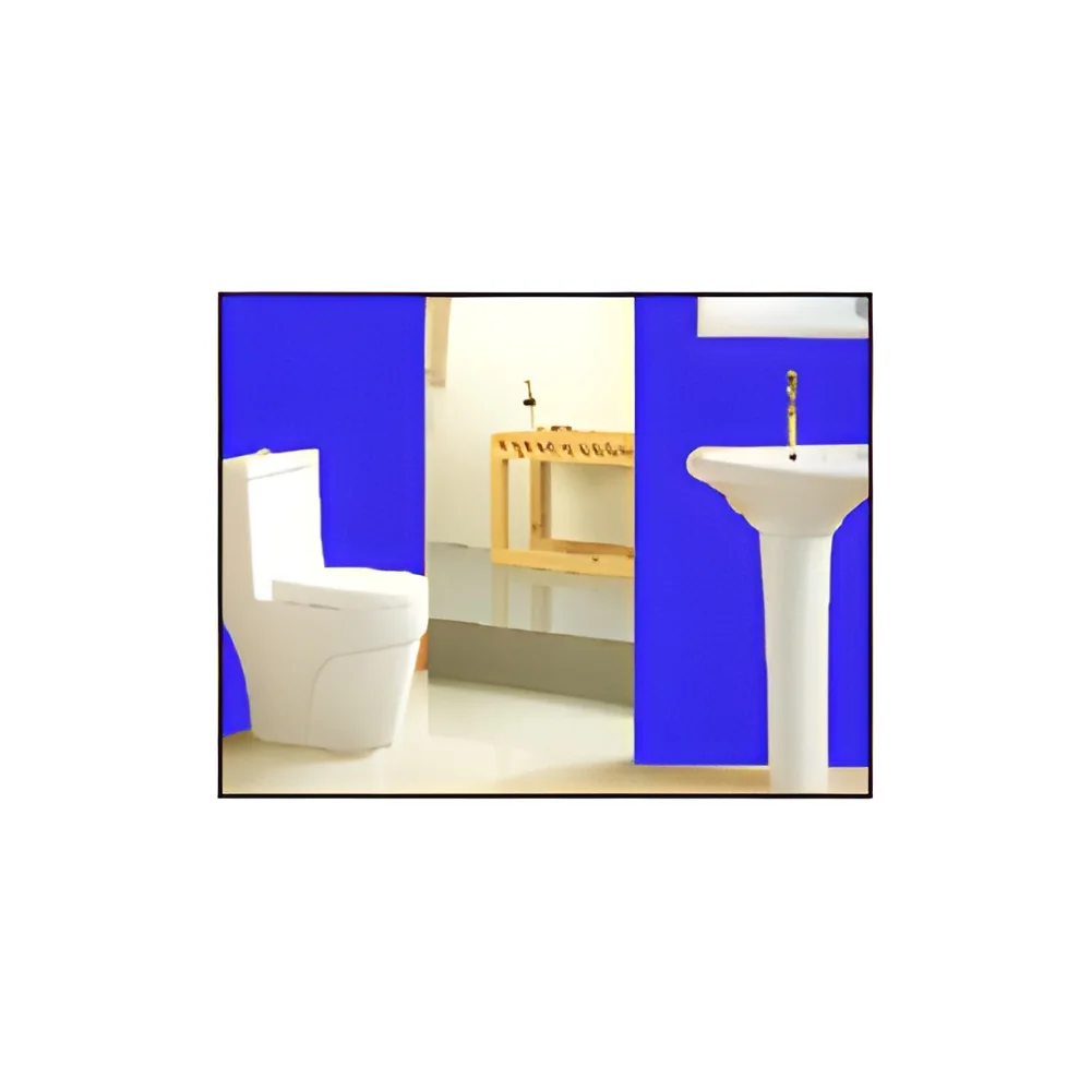 resizeImages/Nzgw/mediabank/images/products/sanitary-ware-opal-single-piece-suit-250x250.webp