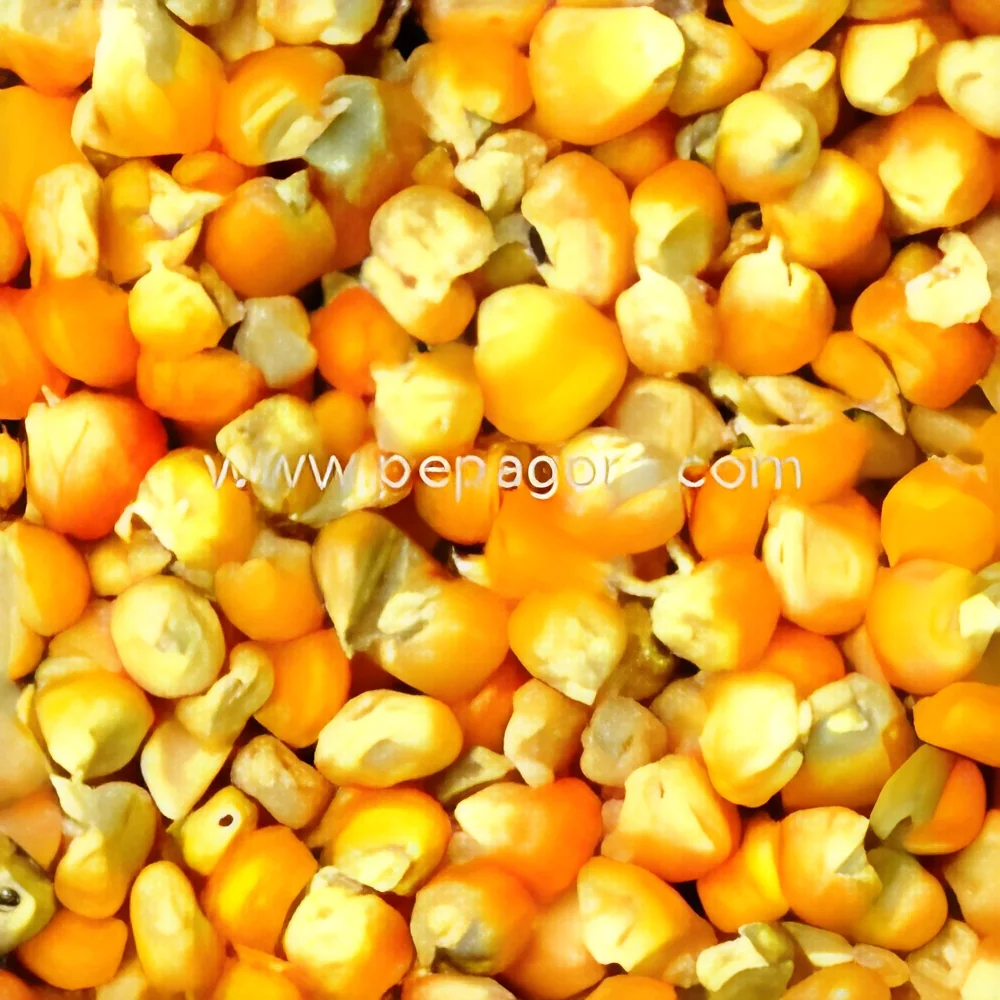 resizeImages/ODAyNw==/mediabank/images/products/YellowMaize807645144_8027.webp