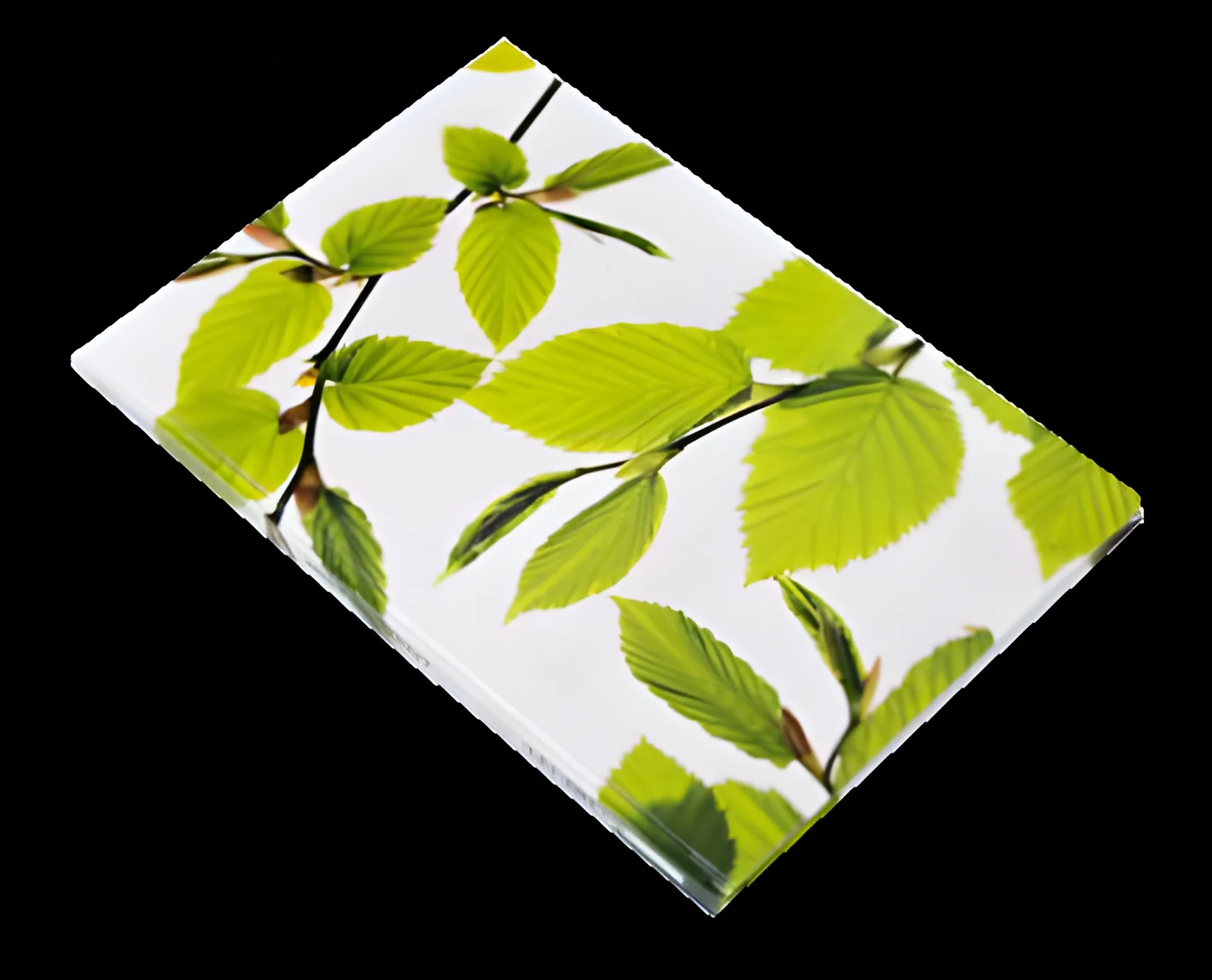 product-image-1